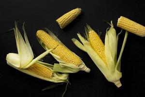 Top view fresh corn composition