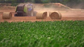 Harvest in Wheat Field video