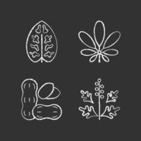 Reason for allergy chalk white icons set on black background vector