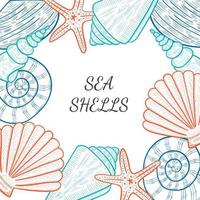 Vintage summer sea shells banner design. Vector background with Seashells, Seastar or starfish. Hand drawn sketch style. Flyer Template.