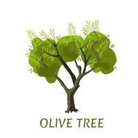 Vector Olive tree with leaves and olives