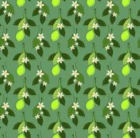 SEAMLESS MINT BACKGROUND WITH BRANCHES OF FRESH LIME vector