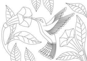 CHILDRENS COLORING BOOK WITH HUMMINGBIRD vector