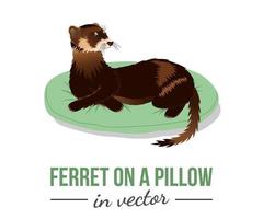 hurón en una almohada vector