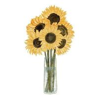 ilustración de ramo de girasol acuarela con jarrón de vidrio vector