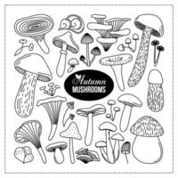 COLLECTION OF BLACK OUTLINE AUTUMN MUSHROOMS vector