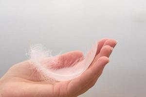 Feather in a hand photo