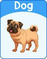Educational English word card of dog vector