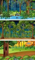 tres escenas horizontales de naturaleza diferente. vector