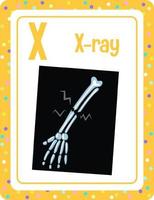 Alphabet flashcard with letter X for X ray vector