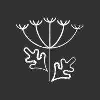 Queen Annes lace chalk white icon on black background vector