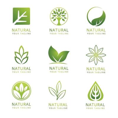 Green Vector Art, Icons, and Graphics for Free Download