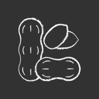 Peanut chalk white icon on black background vector