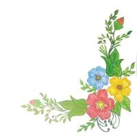 Flowers watercolor illustration vector