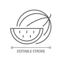 Watermelon linear icon vector