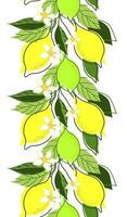 SEAMLESS BORDER OF LEMON BRANCHES ON A WHITE BACKGROUND vector