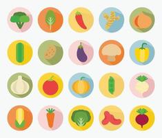 tipos de diseño plano vectorial de conjunto de verduras vector