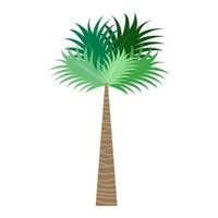 Ilustración de vector de palmera sobre fondo blanco