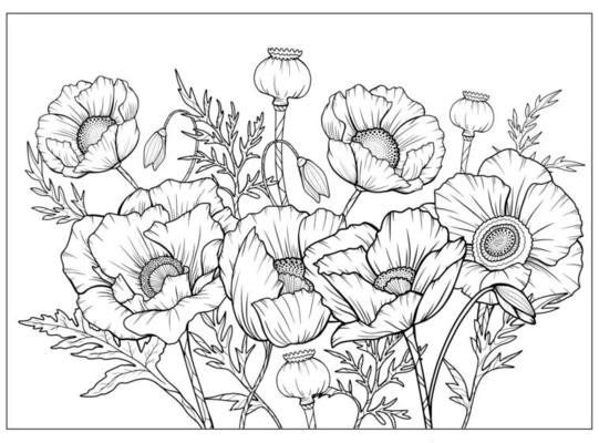 Coloring page with poppies and leaves. Vector page for coloring. Flower Colouring page. Floral print. Outline poppies. Black and white page for coloring book. Anti-stress coloring. Line art flowers