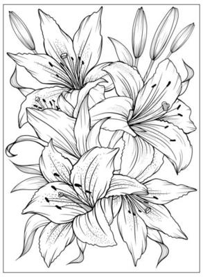 Coloring page with Lilies and leaves. Vector page for coloring. Flower Colouring page. Floral print. Outline Lily. Black and white page for coloring book.