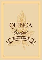 Quinoa packaging design with hand drawn element. Vector illustration in sketch style