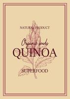 Quinoa packaging design with hand drawn element. Vector illustration in sketch style