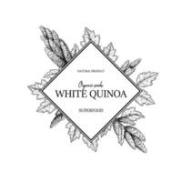 Hand drawn quinoa frame. Vector illustration in sketch style.