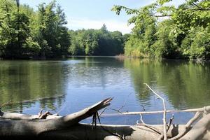 Pond in the Sonian Forest photo