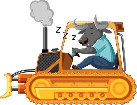 Buffalo sleeping while driving tractor on white background