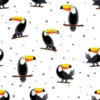 Vector summer background. Toucans on dot background. Summer print, paper or textile design. Element of seamless pattern. Funny pattern for fabric.