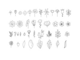 Floral set of black and white flowers and leaves isolated on white background. Outline hand drawn style. Monochrome floral collection vector