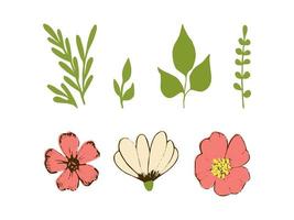 conjunto floral de flores y hojas. estilo dibujado a mano. ilustración vectorial vector