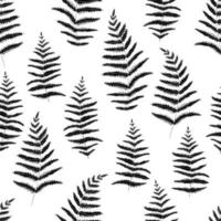 Botanical graphic pattern of black fern leaves on white background. Ideal background for branding, package, fabric and textile, wrapping paper. vector