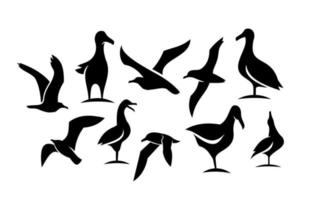 Set collection of seagull black vector icon design illustration