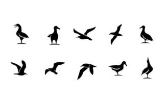 Set collection of seagull black vector icon design illustration