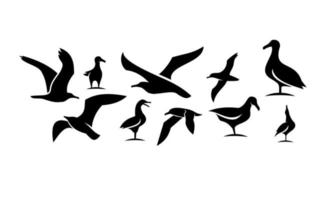 Set collection of seagull black vector icon design illustration