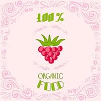 This is a doodle illustration of raspberries with vintage patterns and lettering 100 percent organic food vector