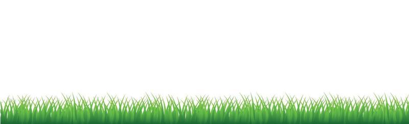 Green juicy grass on a white background
