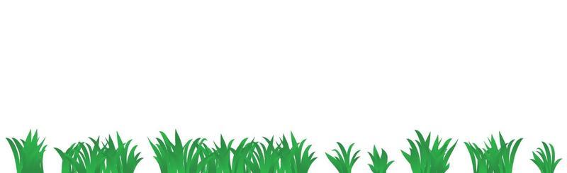 Green juicy grass on a white background