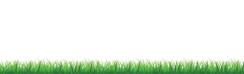 Green juicy grass on a white background