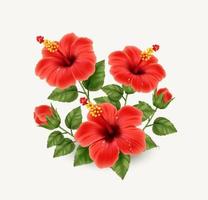 Realistic beautiful hibiscus flower vector