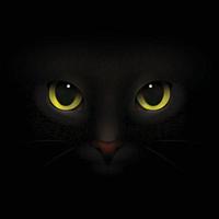 Cat Face Realistic Composition Vector Illustration