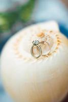 gold wedding rings on the sea shell