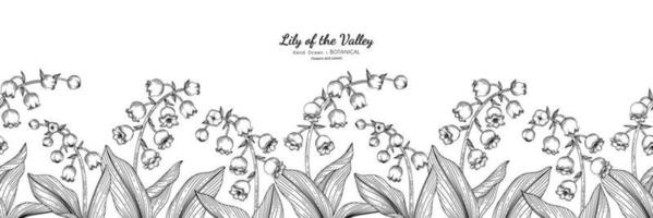 Seamless pattern Lily of the valley flower and leaf hand drawn botanical illustration with line art. vector