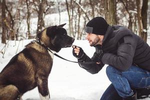 A man in a jacket and a knitted hat walks with an American Akita dog photo