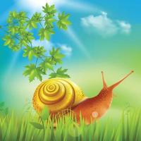 Snail In Grass Realistic Vector Illustration