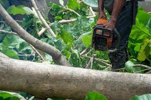 Close up of chainsaw cutting the log by chainsaw machine with sawdust flying around. photo