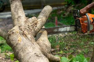 Close up of chainsaw cutting the log by chainsaw machine with sawdust flying around. photo