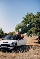 traveling by car of a young couple of a guy and a girl photo