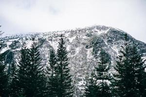 winter landscape in the Carpathian mountains photo